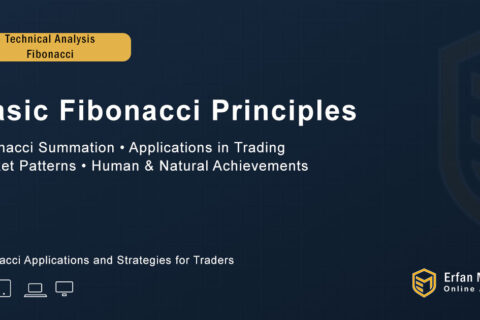 Basic Fibonacci Principles