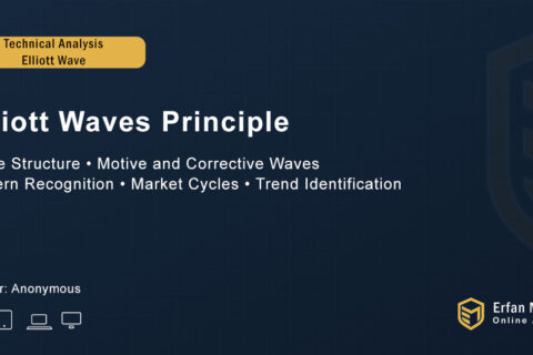 Elliott Waves Principle (Booklet)