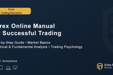 Forex Online Manual for Successful Trading