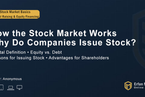 How The Stock Market Works