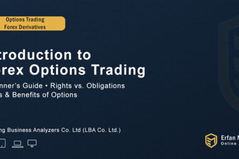 Introducing to Option Market