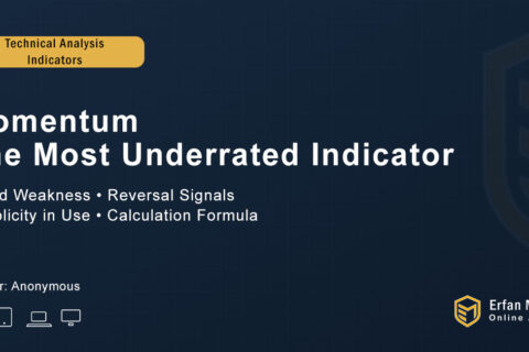 Momentum The Most Underrated Indictor