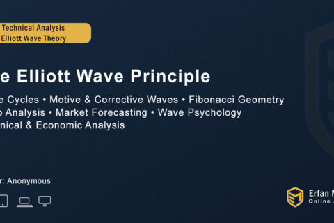 The Elliott Wave Principle