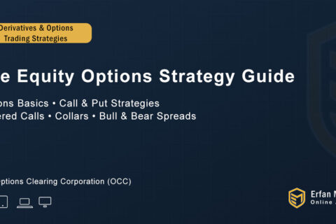The Equity Options Strategy Guide