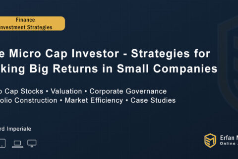The Micro Cap Investor