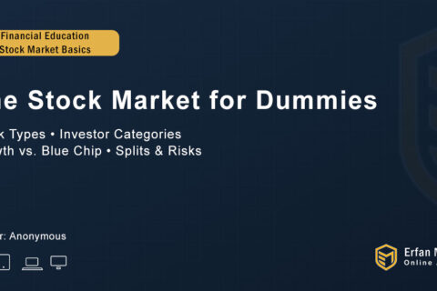 The Stock Market For Dummies