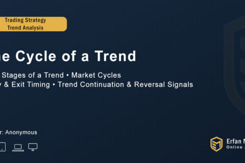 Trading for Beginners – The Cycle of a Trend